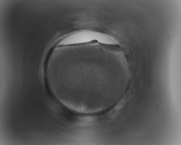 X0000088690198200706282009