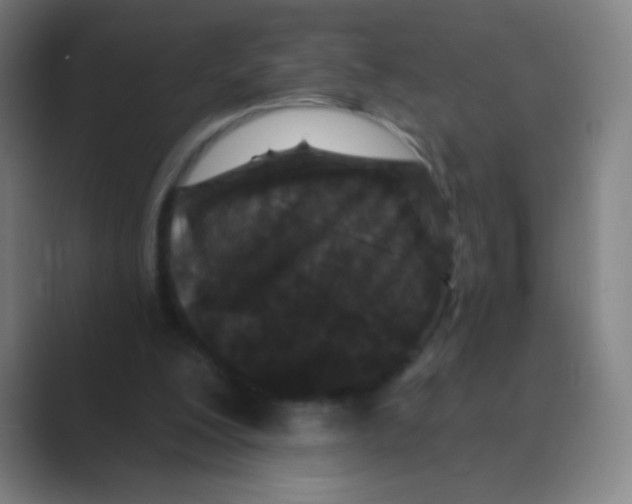 X0000088690200200706282009