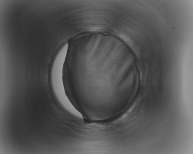 X0000088690201200706282009