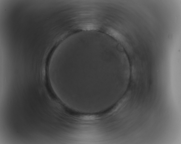 X0000088690202200706282009