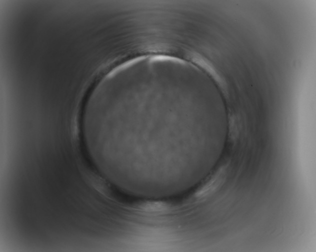 X0000088690203200706282009