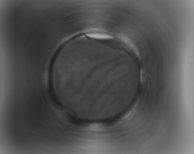 X0000088690204200706282009