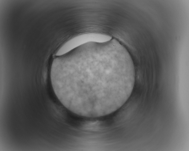 X0000088690206200706282009