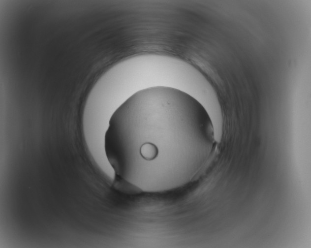 X0000088690207200706282009