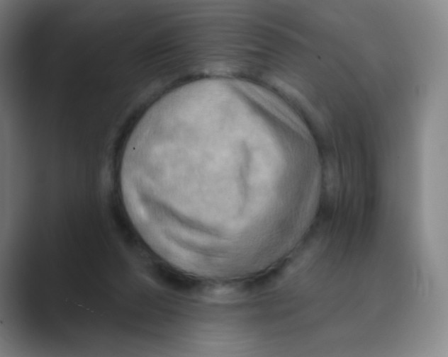 X0000088690208200706282009