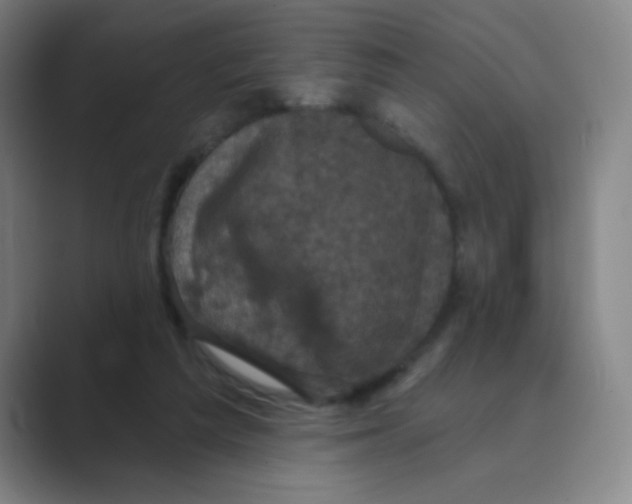 X0000088690209200706282009