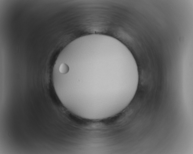 X0000088690210200706282009