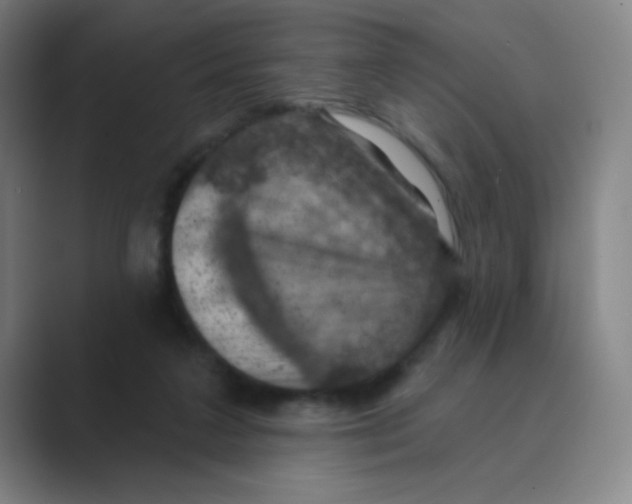 X0000088690211200706282009