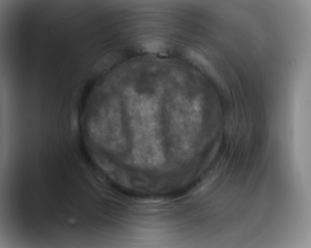 X0000088690213200706282009