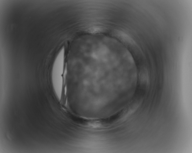 X0000088690214200706282009