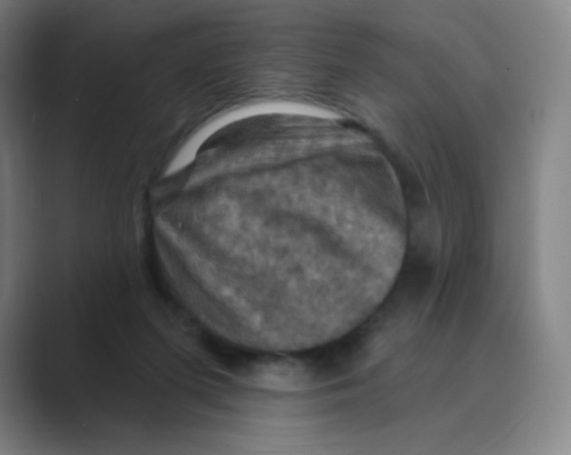 X0000088690215200706282009