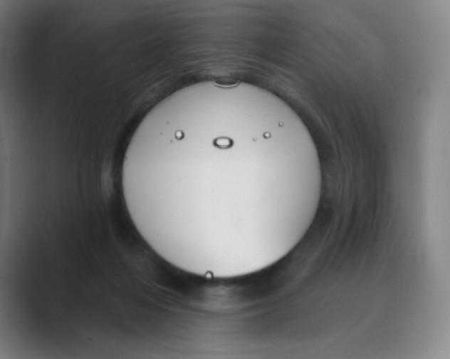 X0000088690216200706282009