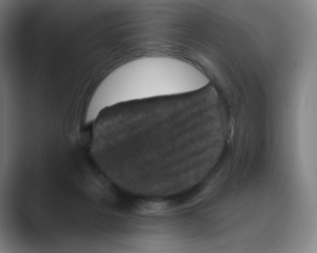 X0000088690217200706282009