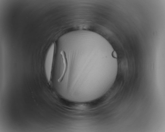 X0000088690218200706282009