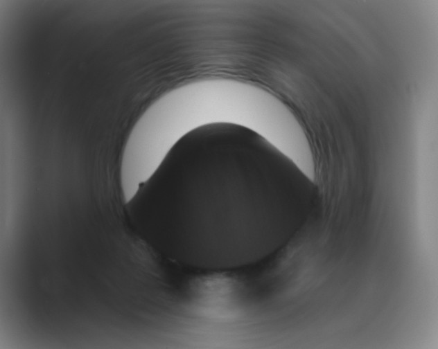 X0000088690219200706282009