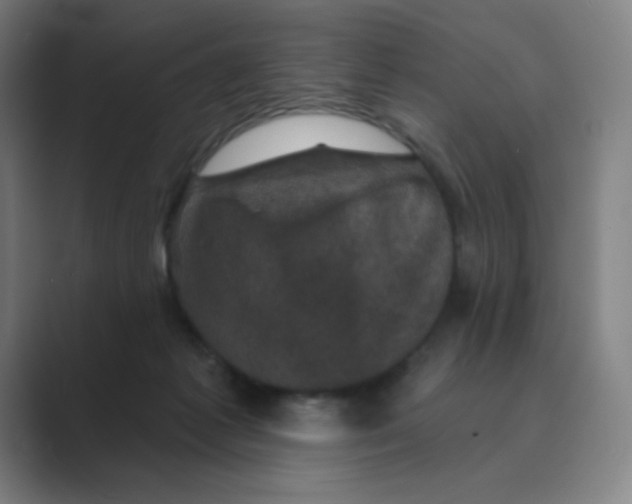 X0000088690221200706282009