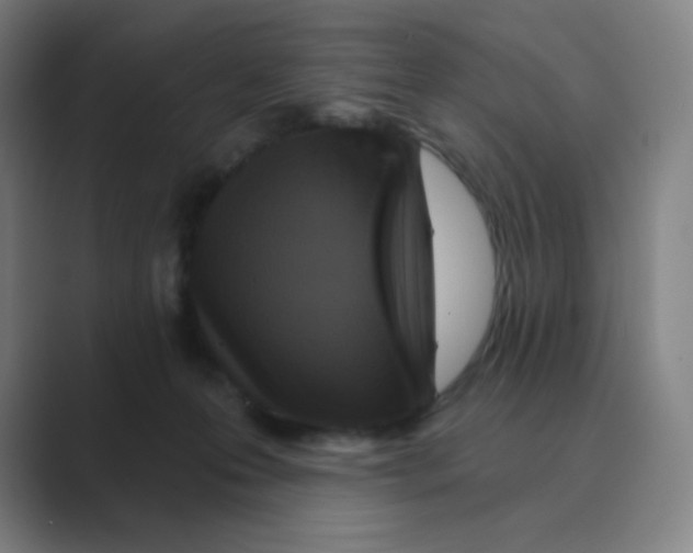 X0000088690223200706282009