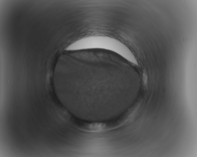 X0000088690225200706282009