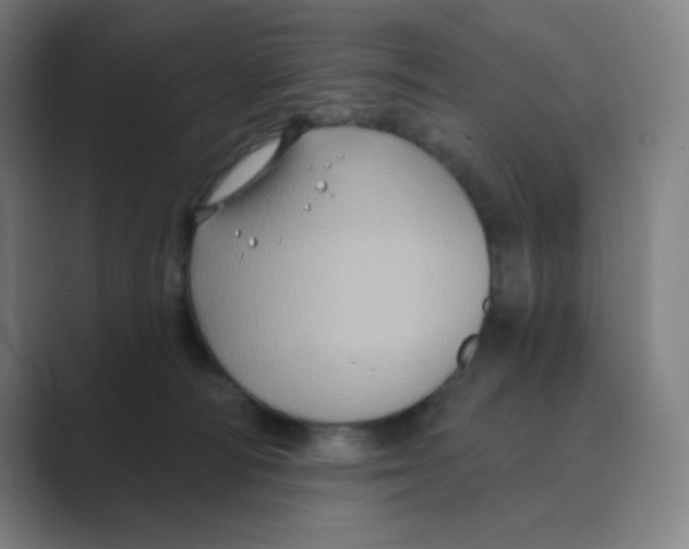 X0000088690226200706282009