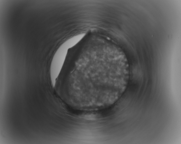 X0000088690228200706282009