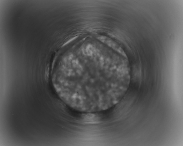 X0000088690230200706282009