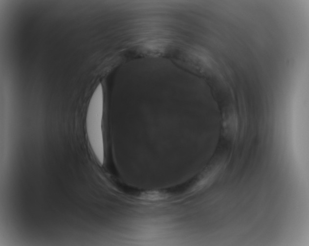 X0000088690231200706282009