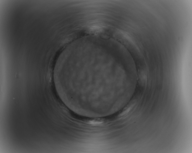 X0000088690232200706282009