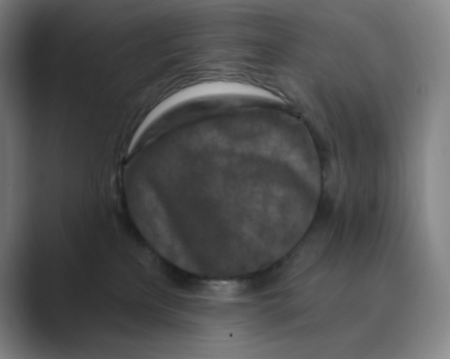 X0000088690233200706282009