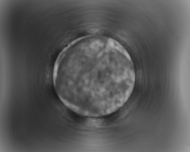 X0000088690234200706282009
