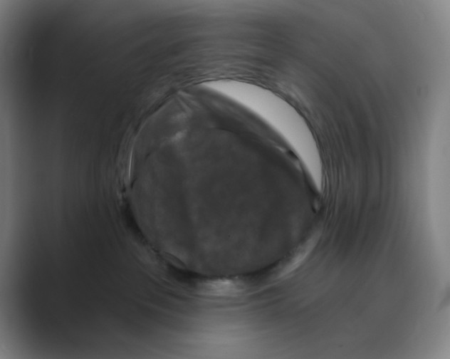 X0000088690237200706282009
