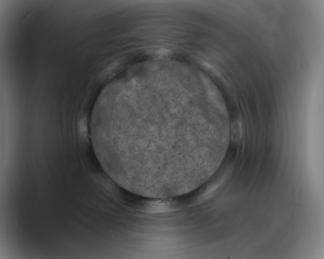 X0000088690238200706282009