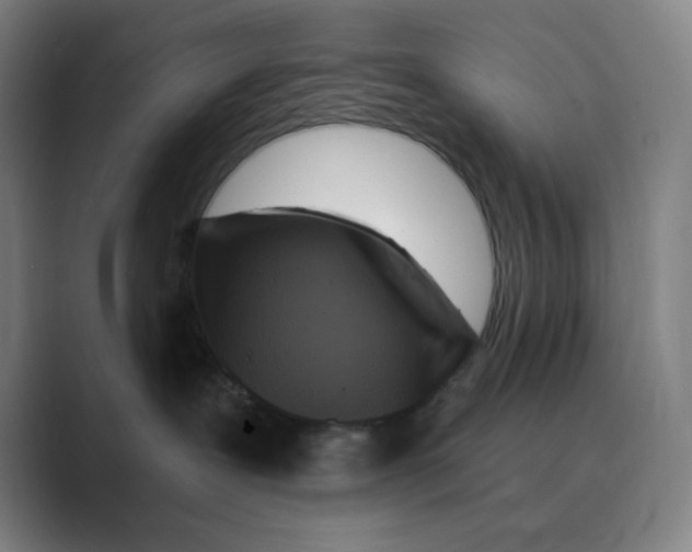 X0000088690239200706282009