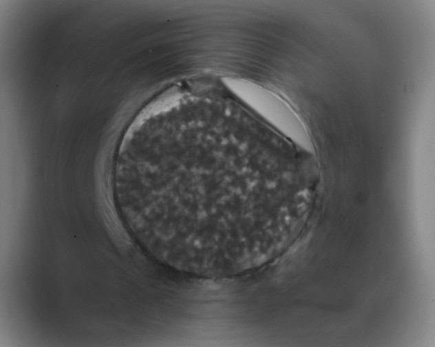 X0000088690241200706282008