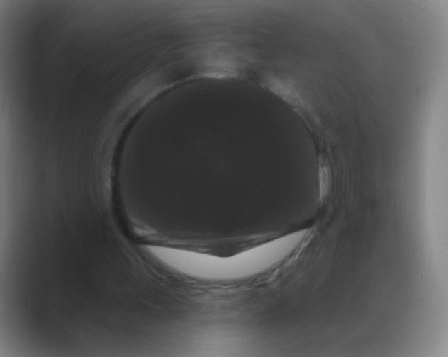 X0000088690243200706282008