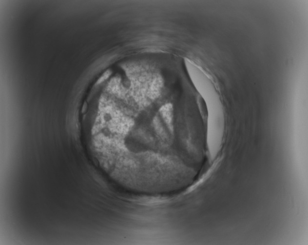 X0000088690245200706282008