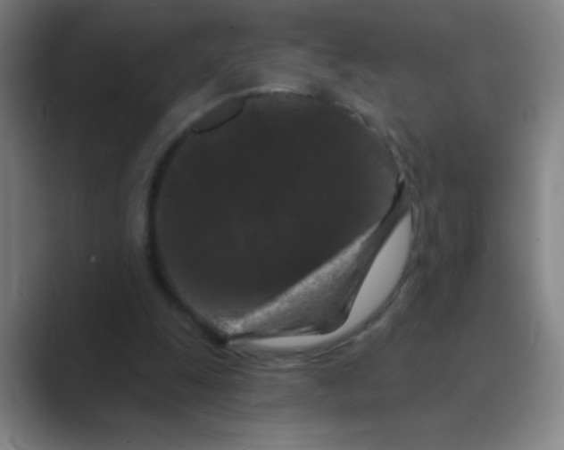 X0000088690247200706282008