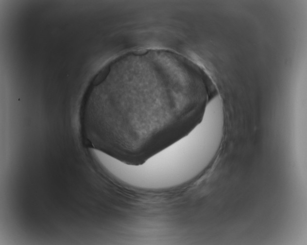 X0000088690248200706282008