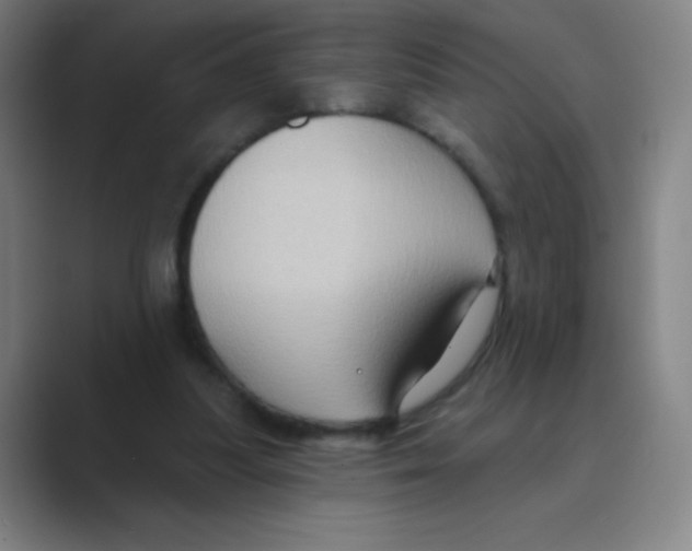 X0000088690251200706282008