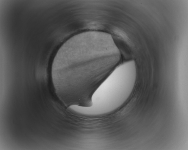 X0000088690252200706282008