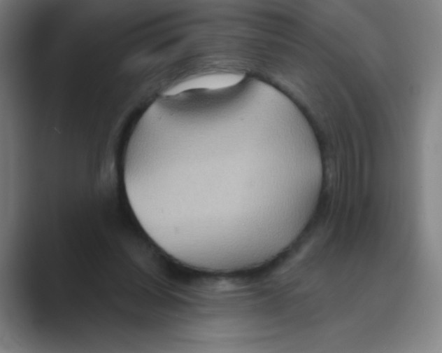 X0000088690254200706282008