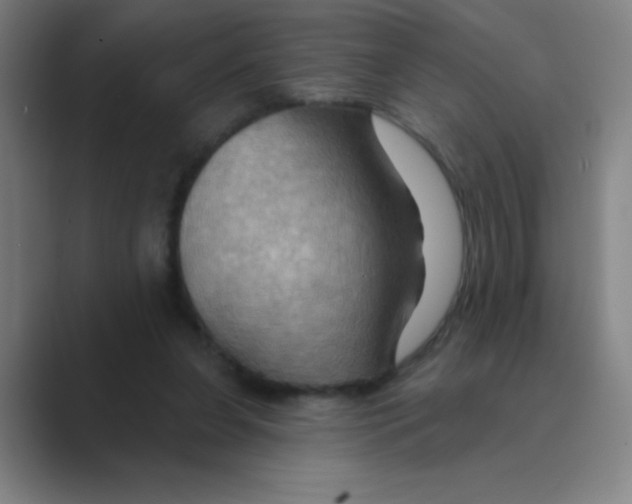 X0000088690255200706282008