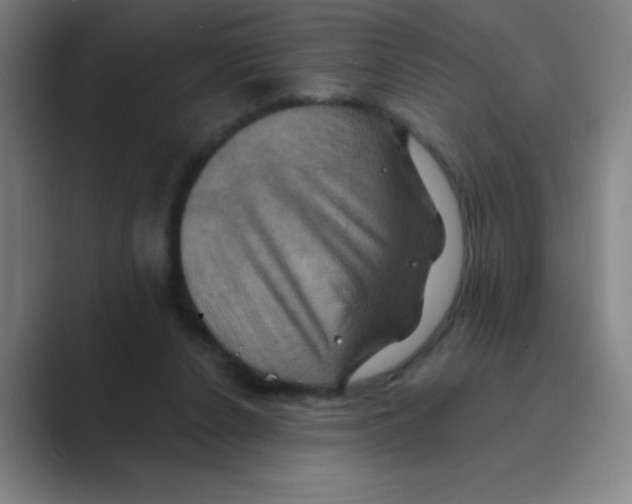 X0000088690256200706282008