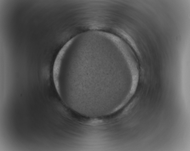 X0000088690257200706282008