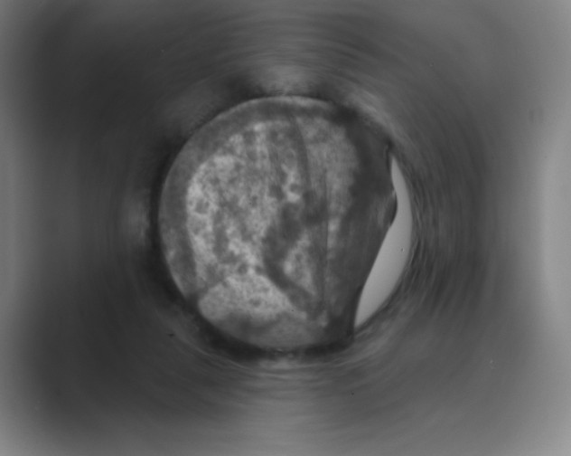 X0000088690259200706282008