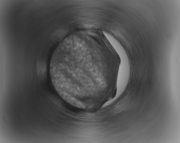 X0000088690260200706282008