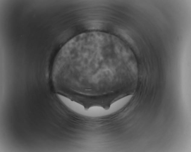 X0000088690261200706282008