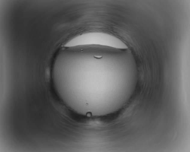 X0000088690262200706282008