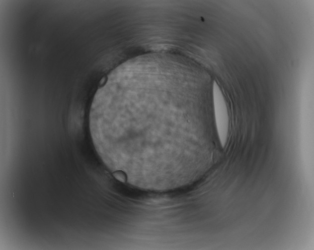 X0000088690263200706282008