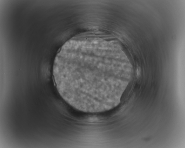 X0000088690264200706282008