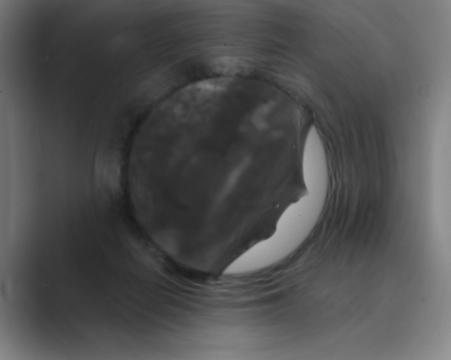 X0000088690266200706282008